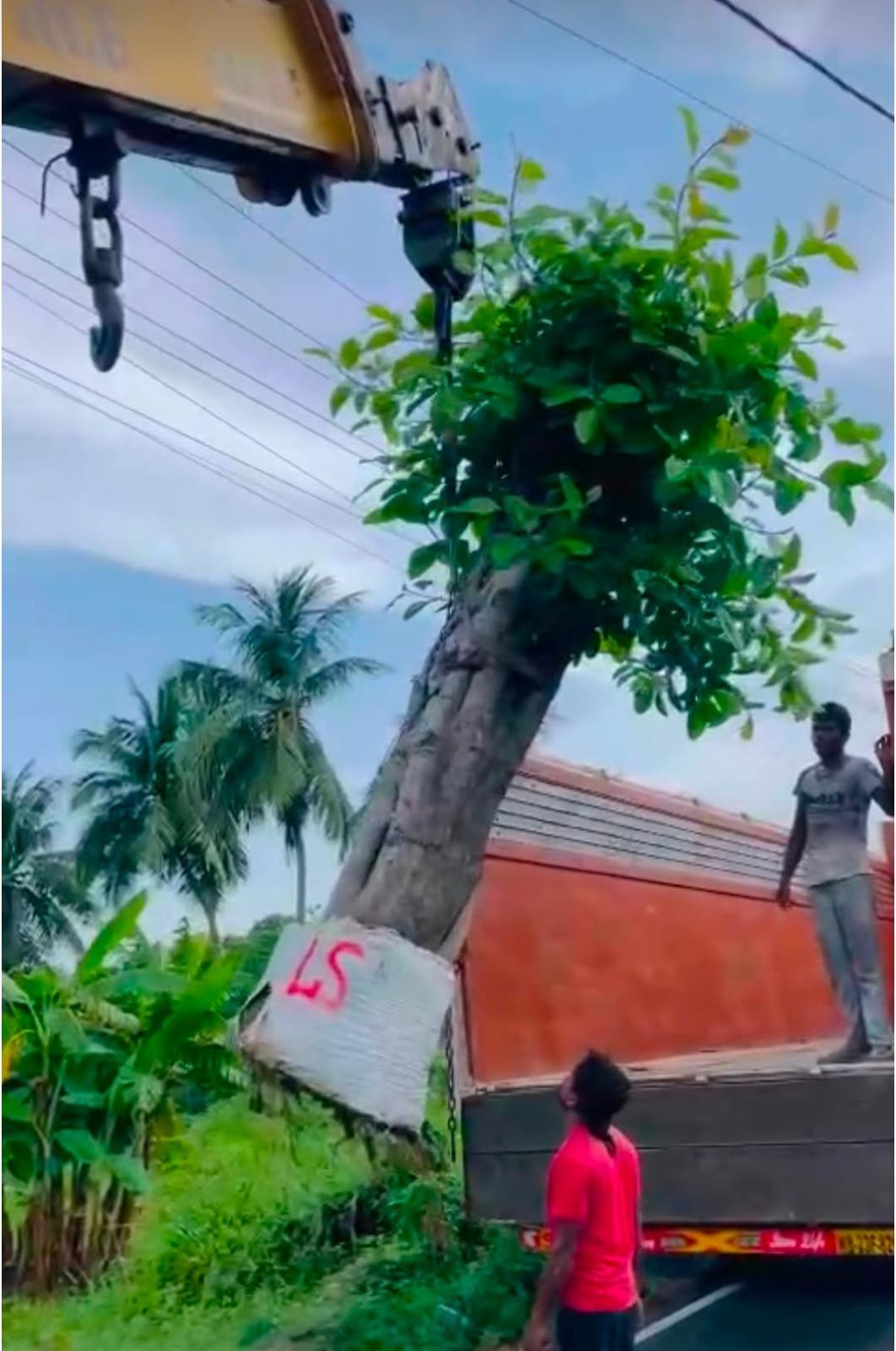 WhatsApp Image 2026 01 16 At 12.24.55 1