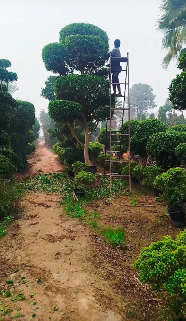 whatsapp image 2026 01 18 at 11.49.14